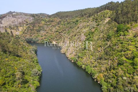 Granja a Serta, Castelo Branco, Serta - € 89.000 | Ref: FG738 - foto 22
