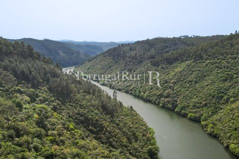 Granja a Serta, Castelo Branco, Serta - € 89.000 | Ref: FG738 - foto 23