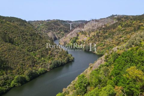Granja a Serta, Castelo Branco, Serta - € 89.000 | Ref: FG738 - foto 24