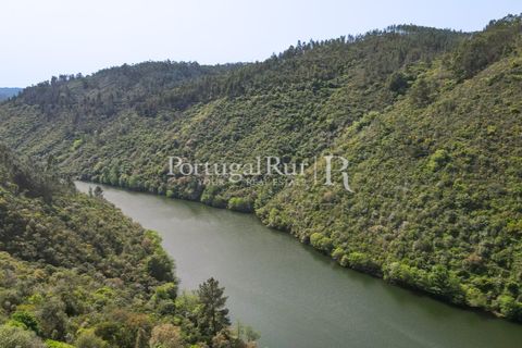 Granja a Serta, Castelo Branco, Serta - € 89.000 | Ref: FG738 - foto 25