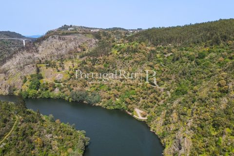 Granja a Serta, Castelo Branco, Serta - € 89.000 | Ref: FG738 - foto 27
