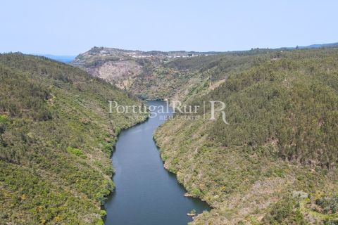 Granja a Serta, Castelo Branco, Serta - € 89.000 | Ref: FG738 - foto 28