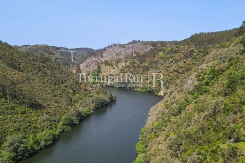 Granja a Serta, Castelo Branco, Serta - € 89.000 | Ref: FG738 - foto 29