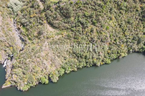 Granja a Serta, Castelo Branco, Serta - € 89.000 | Ref: FG738 - foto 30