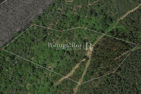 Granja a Serta, Castelo Branco, Serta - € 89.000 | Ref: FG738 - foto 31