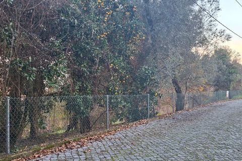 Helårsgrund i Amares, Braga, Amares - € 29.000 | Ref: 212097 - foto 3
