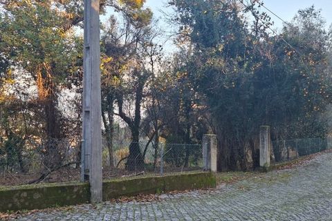Helårsgrund i Amares, Braga, Amares - € 29.000 | Ref: 212097 - foto 5