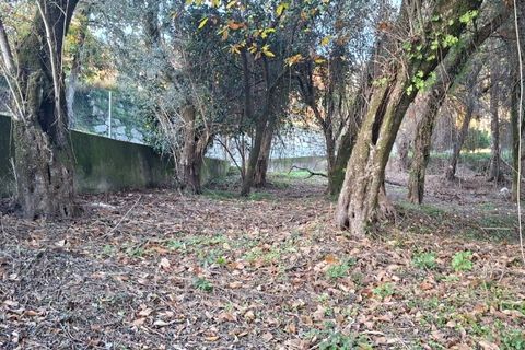 Helårsgrund i Amares, Braga, Amares - € 29.000 | Ref: 212097 - foto 6