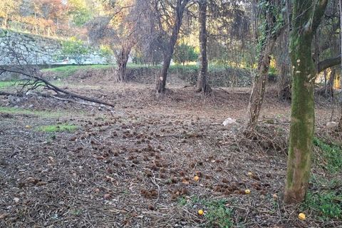Helårsgrund i Amares, Braga, Amares - € 29.000 | Ref: 212097 - foto 7