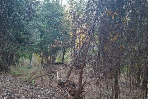 Helårsgrund i Amares, Braga, Amares - € 29.000 | Ref: 212097 - foto 8