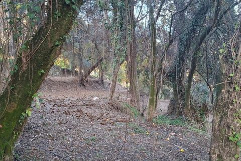 Helårsgrund i Amares, Braga, Amares - € 29.000 | Ref: 212097 - foto 11