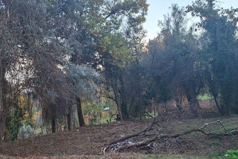 Helårsgrund i Amares, Braga, Amares - € 29.000 | Ref: 212097 - foto 14