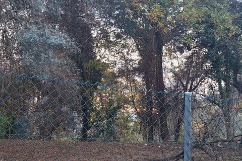 Helårsgrund i Amares, Braga, Amares - € 29.000 | Ref: 212097 - foto 16