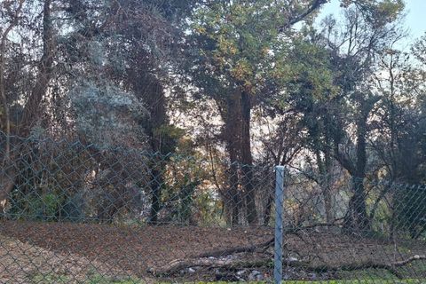 Helårsgrund i Amares, Braga, Amares - € 29.000 | Ref: 212097 - foto 17