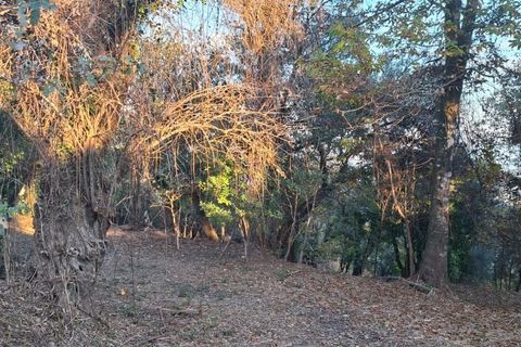 Helårsgrund i Amares, Braga, Amares - € 29.000 | Ref: 212097 - foto 18