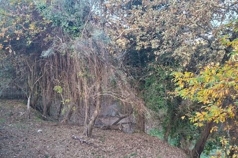 Helårsgrund i Amares, Braga, Amares - € 29.000 | Ref: 212097 - foto 20