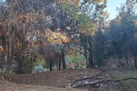 Helårsgrund i Amares, Braga, Amares - € 29.000 | Ref: 212097 - foto 21