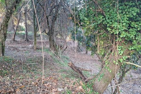 Helårsgrund i Amares, Braga, Amares - € 29.000 | Ref: 212097 - foto 22