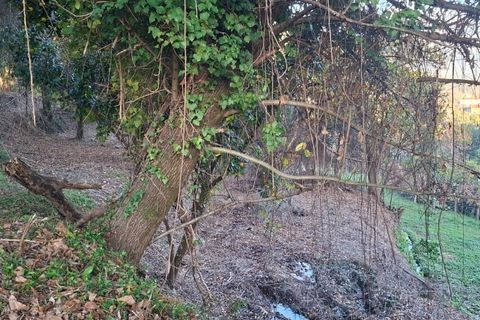 Helårsgrund i Amares, Braga, Amares - € 29.000 | Ref: 212097 - foto 23