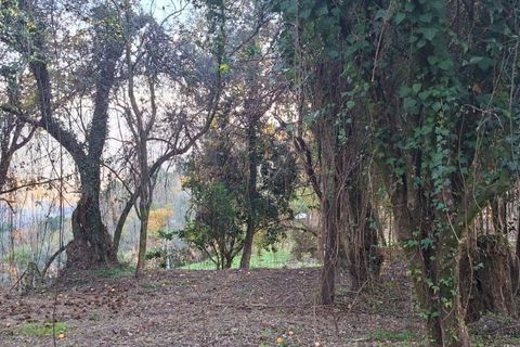 Helårsgrund i Amares, Braga, Amares - € 29.000 | Ref: 212097 - foto 24