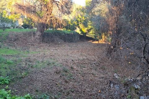 Helårsgrund i Amares, Braga, Amares - € 29.000 | Ref: 212097 - foto 25