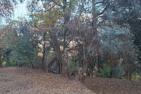 Helårsgrund i Amares, Braga, Amares - € 29.000 | Ref: 212097 - foto 27
