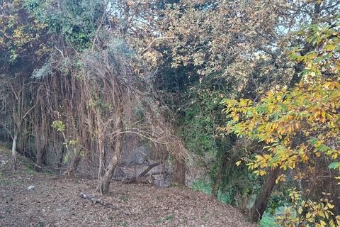 Helårsgrund i Amares, Braga, Amares - € 29.000 | Ref: 212097 - foto 28