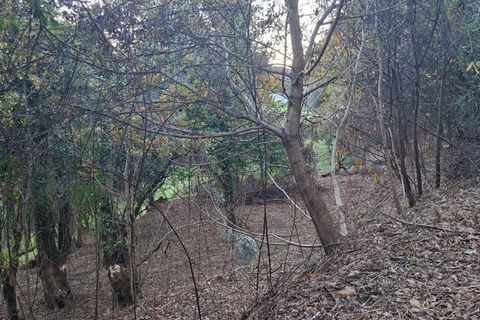 Helårsgrund i Amares, Braga, Amares - € 29.000 | Ref: 212097 - foto 29