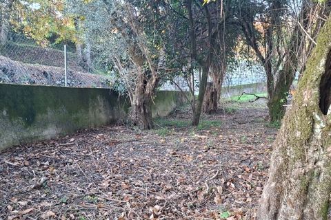 Helårsgrund i Amares, Braga, Amares - € 29.000 | Ref: 212097 - foto 31