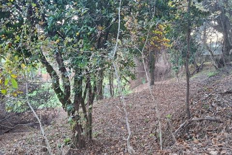 Helårsgrund i Amares, Braga, Amares - € 29.000 | Ref: 212097 - foto 32