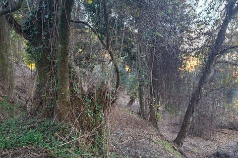 Helårsgrund i Amares, Braga, Amares - € 29.000 | Ref: 212097 - foto 33