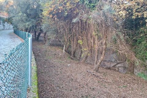 Helårsgrund i Amares, Braga, Amares - € 29.000 | Ref: 212097 - foto 34