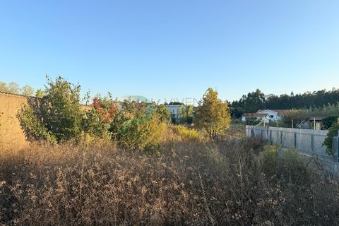 Villa i Anadia, Aveiro, Anadia - € 119.000 | Ref: CAS_201 - foto 13