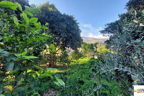 Villa i Carini, Palermo, Carini - € 290.000 | Ref: 11/24 - foto 7