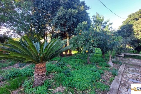 Villa i Carini, Palermo, Carini - € 290.000 | Ref: 11/24 - foto 9