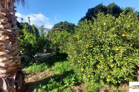 Villa i Carini, Palermo, Carini - € 290.000 | Ref: 11/24 - foto 11