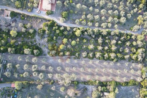 Villa i Sassari, Sassari, Sassari - € 310.000 | Ref: 13839 - foto 34