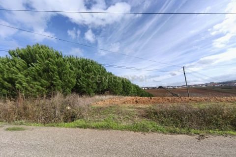 Helårsgrund i Lourinha, Lisbon, Lourinha - € 18.000 | Ref: C0364-05172 - foto 2