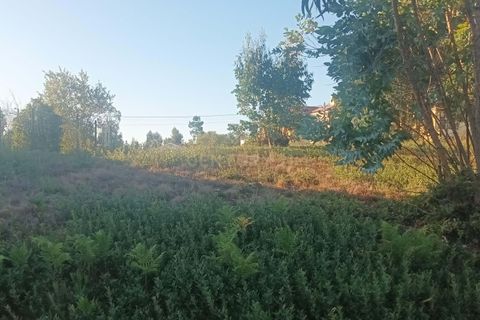 Helårsgrund i Mealhada, Aveiro, Mealhada - € 98.000 | Ref: C0372-01709 - foto 6