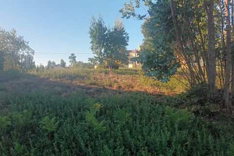 Helårsgrund i Mealhada, Aveiro, Mealhada - € 98.000 | Ref: C0372-01709 - foto 9