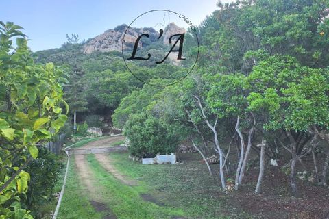 Villa i Pietrosella, Corse-du-Sud, Pietrosella - € 730.000 | Ref: JARM00100PIE - foto 28