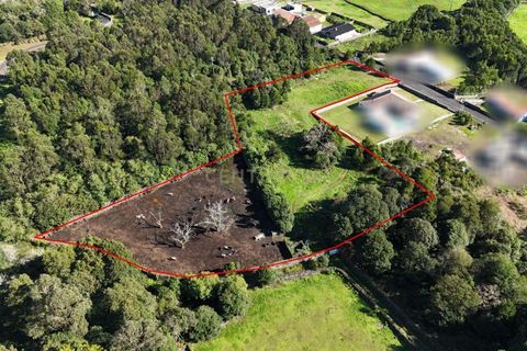Helårsgrund i Terra Cha, Terceira, Terra Cha - € 129.000 | Ref: C0423-00641 - foto 5