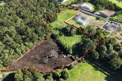 Helårsgrund i Terra Cha, Terceira, Terra Cha - € 129.000 | Ref: C0423-00641 - foto 8