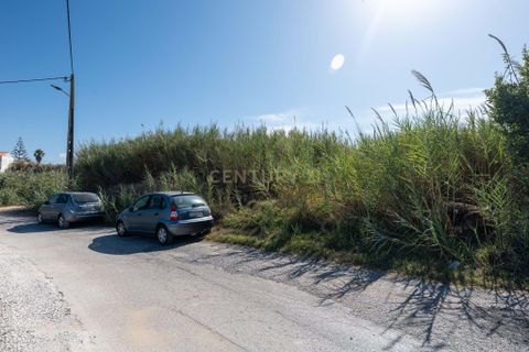Helårsgrund i A dos Cunhados e Maceira, Lisbon, A dos Cunhados e Maceira - € 95.000 | Ref: C0444-00771 - foto 4
