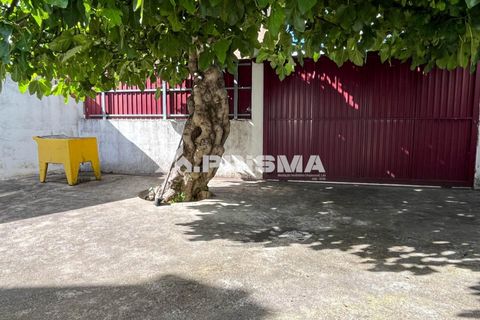 Rækkehus i Castelo Branco, Castelo Branco, Castelo Branco - € 109.500 | Ref: PP4681 - foto 40