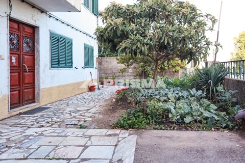 Stadthaus in Castelo Branco, Castelo Branco, Castelo Branco - € 267.500 | Ref: PP4634 - Foto 1