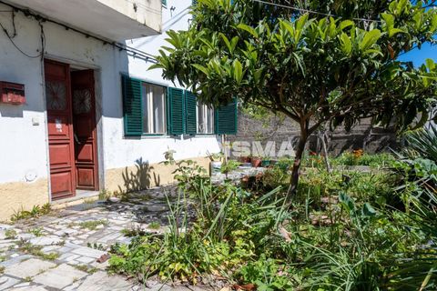 Stadthaus in Castelo Branco, Castelo Branco, Castelo Branco - € 267.500 | Ref: PP4634 - Foto 2