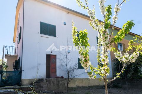 Stadthaus in Castelo Branco, Castelo Branco, Castelo Branco - € 267.500 | Ref: PP4634 - Foto 30