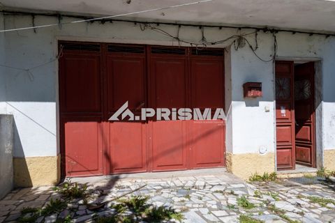 Stadthaus in Castelo Branco, Castelo Branco, Castelo Branco - € 267.500 | Ref: PP4634 - Foto 31