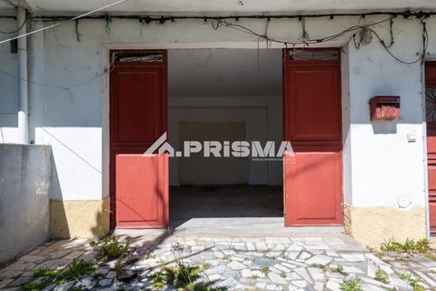 Stadthaus in Castelo Branco, Castelo Branco, Castelo Branco - € 267.500 | Ref: PP4634 - Foto 32